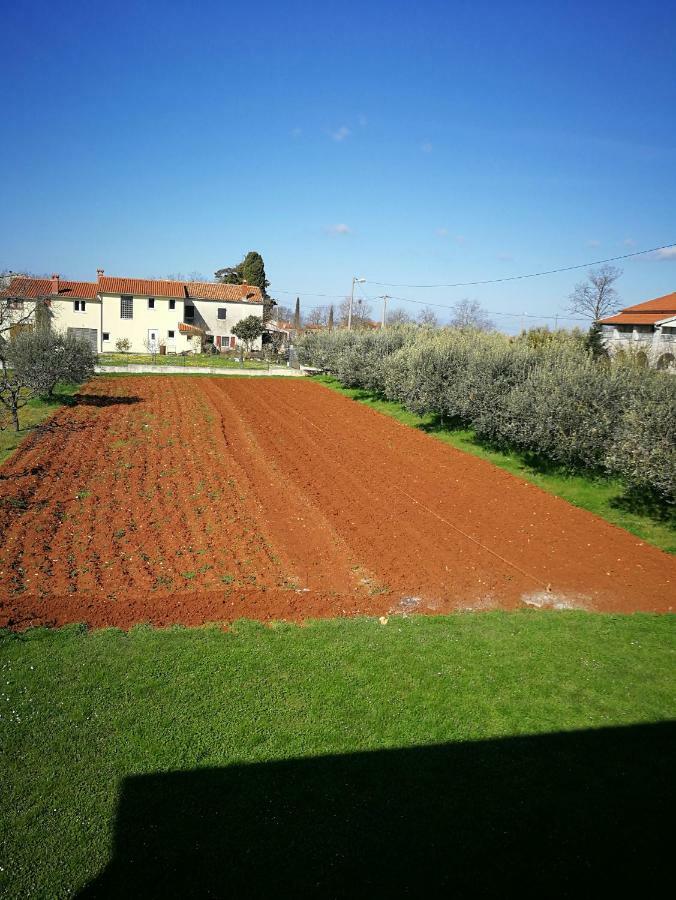 דירות Žbandaj Ljubica מראה חיצוני תמונה